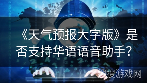 《天气预报大字版》是否支持华语语音助手？