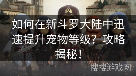 如何在新斗罗大陆中迅速提升宠物等级？攻略揭秘！