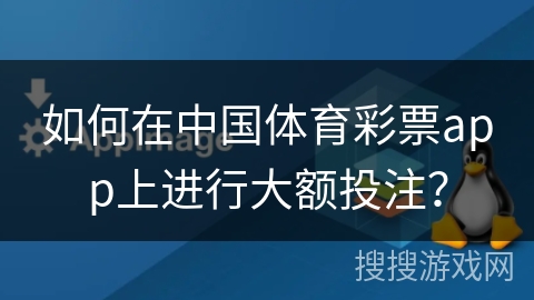 如何在中国体育彩票app上进行大额投注？