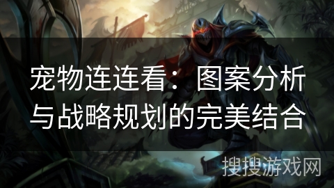 宠物连连看：图案分析与战略规划的完美结合