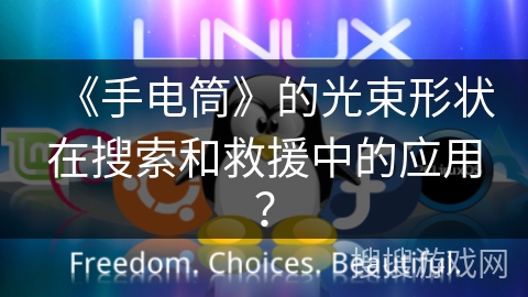 《手电筒》的光束形状在搜索和救援中的应用？