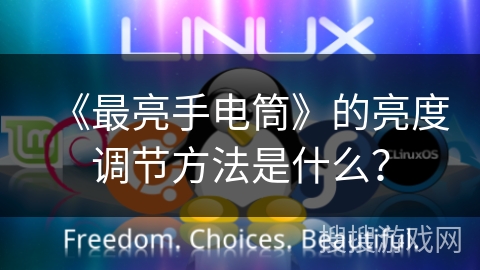 《最亮手电筒》的亮度调节方法是什么？
