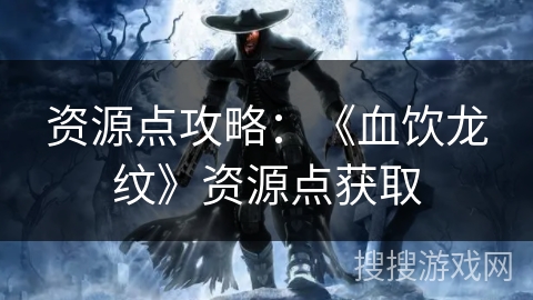 资源点攻略：《血饮龙纹》资源点获取