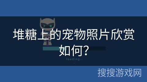 堆糖上的宠物照片欣赏如何？