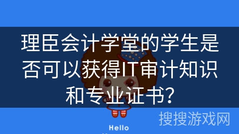 理臣会计学堂的学生是否可以获得IT审计知识和专业证书？