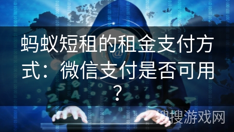 蚂蚁短租的租金支付方式：微信支付是否可用？