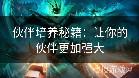 伙伴培养秘籍：让你的伙伴更加强大