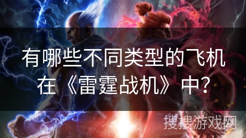 有哪些不同类型的飞机在《雷霆战机》中？