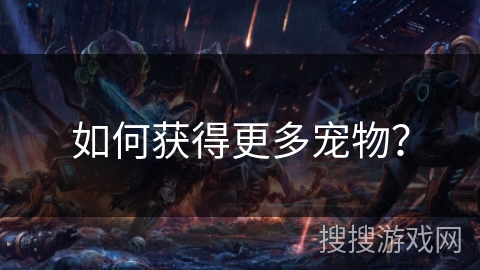 如何获得更多宠物？