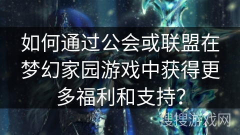 如何通过公会或联盟在梦幻家园游戏中获得更多福利和支持？