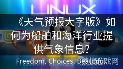 《天气预报大字版》如何为船舶和海洋行业提供气象信息？