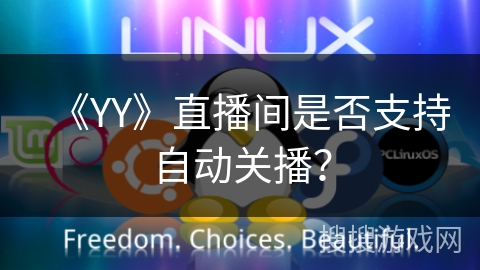《YY》直播间是否支持自动关播？