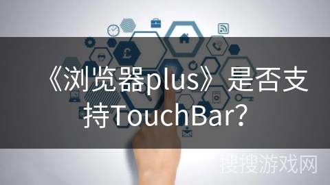《浏览器plus》是否支持TouchBar？