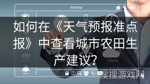 如何在《天气预报准点报》中查看城市农田生产建议？