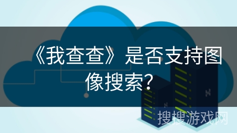 《我查查》是否支持图像搜索？
