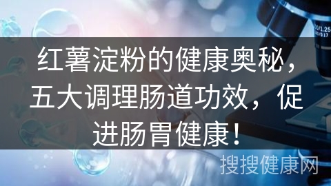 红薯淀粉的健康奥秘，五大调理肠道功效，促进肠胃健康！