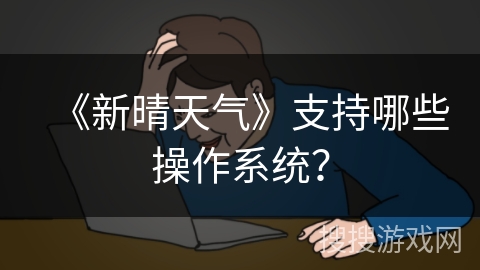 《新晴天气》支持哪些操作系统？
