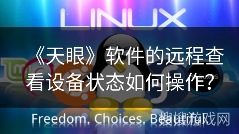 《天眼》软件的远程查看设备状态如何操作？