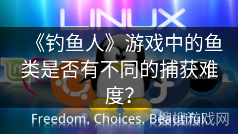 《钓鱼人》游戏中的鱼类是否有不同的捕获难度？