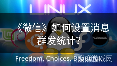 《微信》如何设置消息群发统计？