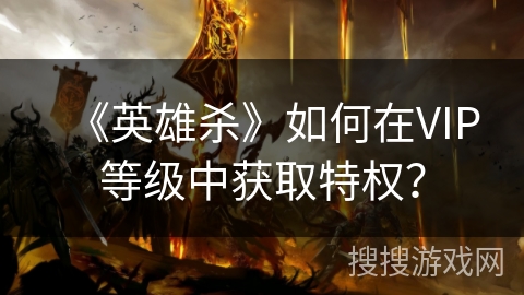 《英雄杀》如何在VIP等级中获取特权？