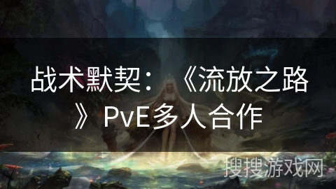 战术默契：《流放之路》PvE多人合作