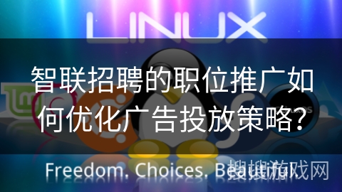 智联招聘的职位推广如何优化广告投放策略？