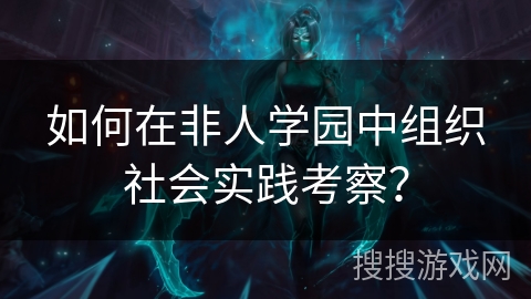 如何在非人学园中组织社会实践考察？