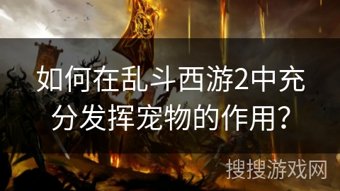 如何在乱斗西游2中充分发挥宠物的作用？