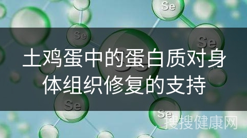 土鸡蛋中的蛋白质对身体组织修复的支持