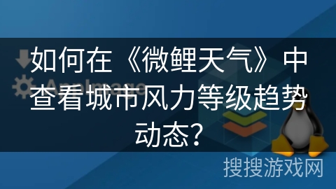 如何在《微鲤天气》中查看城市风力等级趋势动态？