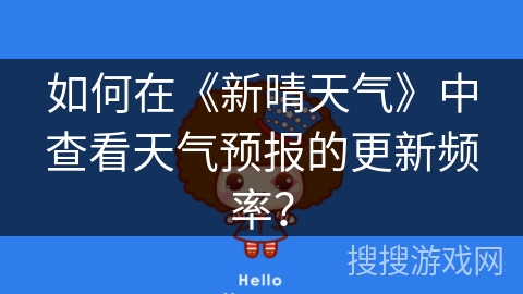 如何在《新晴天气》中查看天气预报的更新频率？