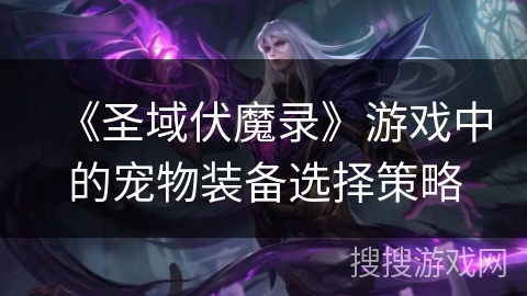 《圣域伏魔录》游戏中的宠物装备选择策略