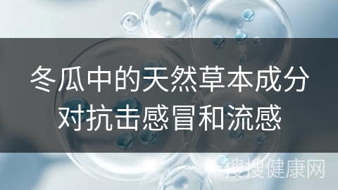 冬瓜中的天然草本成分对抗击感冒和流感