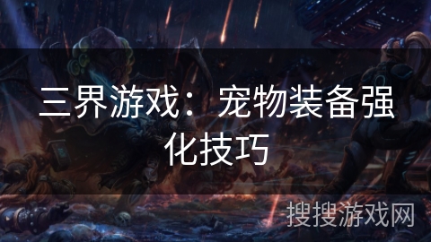 三界游戏：宠物装备强化技巧