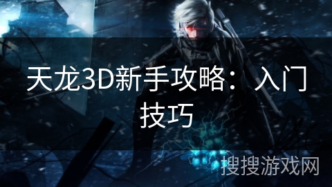 天龙3D新手攻略:入门技巧 天龙3D新手攻略:入门技巧