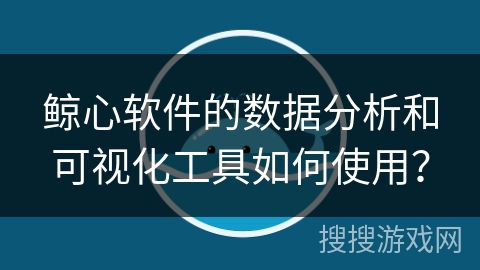 鲸心软件的数据分析和可视化工具如何使用? 鲸心软件的数据分析和可视化工具如何使用?