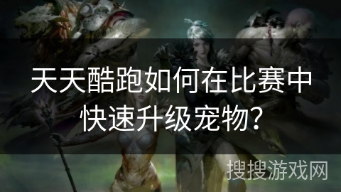 天天酷跑如何在比赛中快速升级宠物？