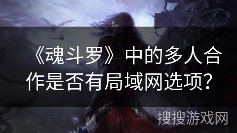 《魂斗罗》中的多人合作是否有局域网选项？