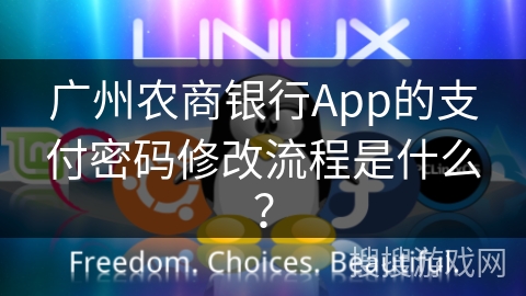 广州农商银行App的支付密码修改流程是什么？
