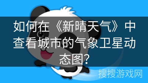 如何在《新晴天气》中查看城市的气象卫星动态图？