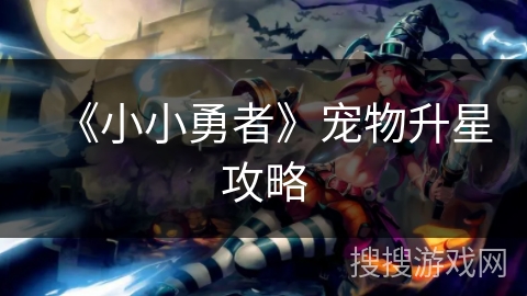 《小小勇者》宠物升星攻略