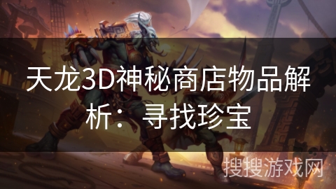 天龙3D神秘商店物品解析：寻找珍宝