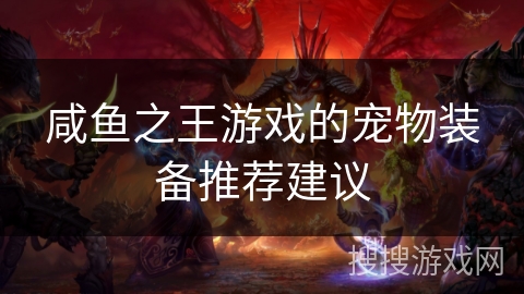 咸鱼之王游戏的宠物装备推荐建议