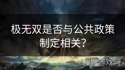 极无双是否与公共政策制定相关？