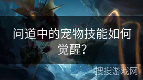 问道中的宠物技能如何觉醒？