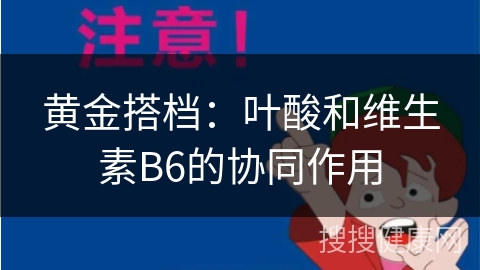 黄金搭档：叶酸和维生素B6的协同作用