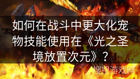 如何在战斗中更大化宠物技能使用在《光之圣境放置次元》？