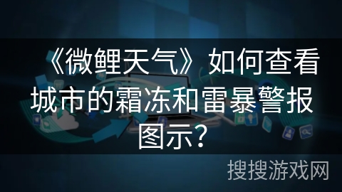 《微鲤天气》如何查看城市的霜冻和雷暴警报图示？
