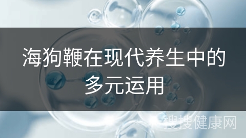 海狗鞭在现代养生中的多元运用